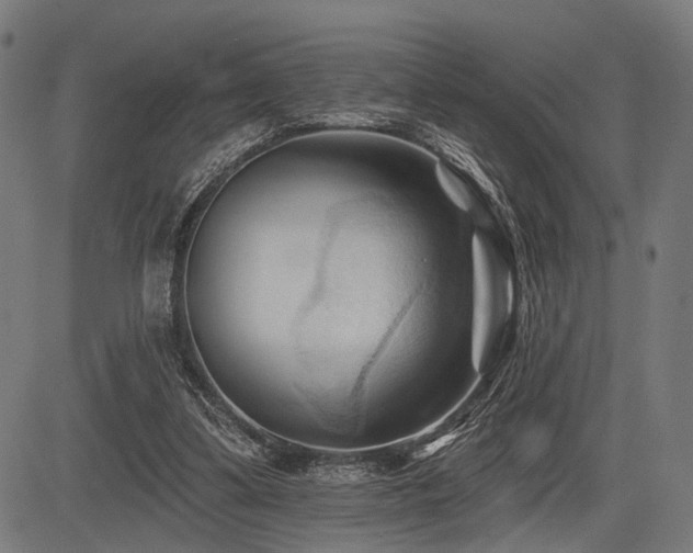 X0000083610299200702121122