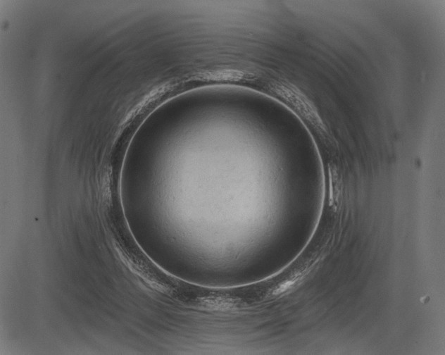 X0000083610300200702121122