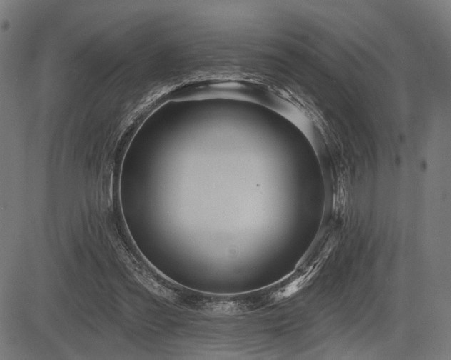 X0000083610301200702121122