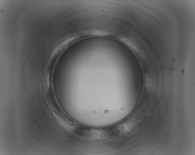 X0000083610302200702121122