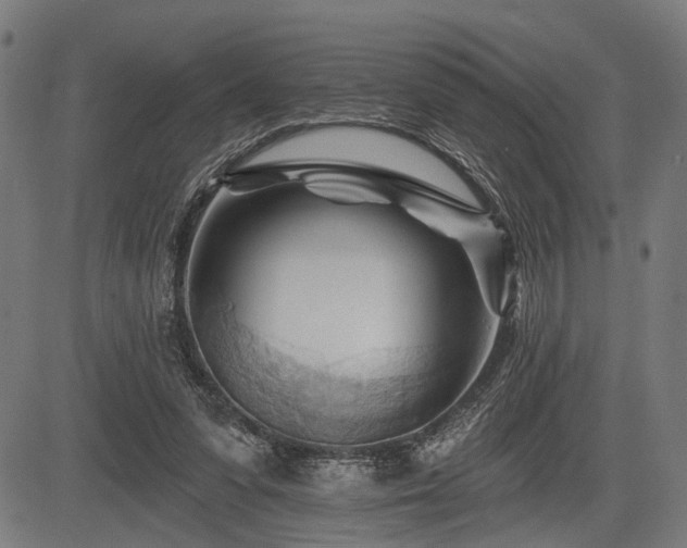 X0000083610303200702121122