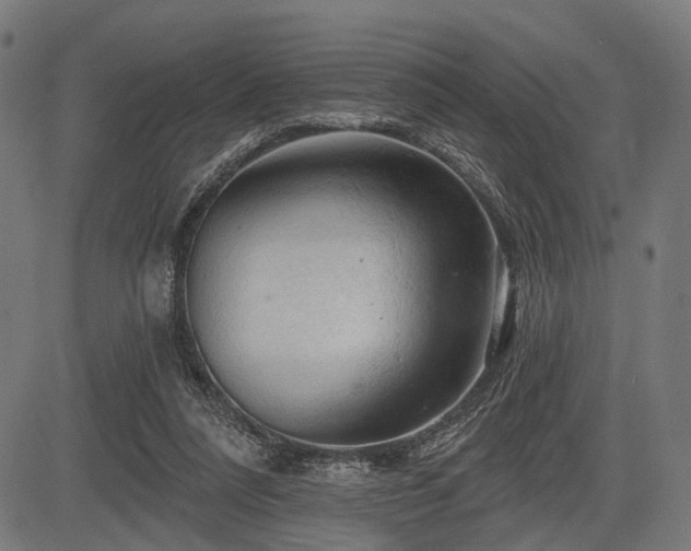 X0000083610304200702121122