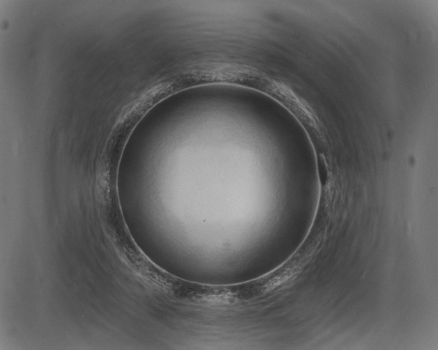 X0000083610306200702121122