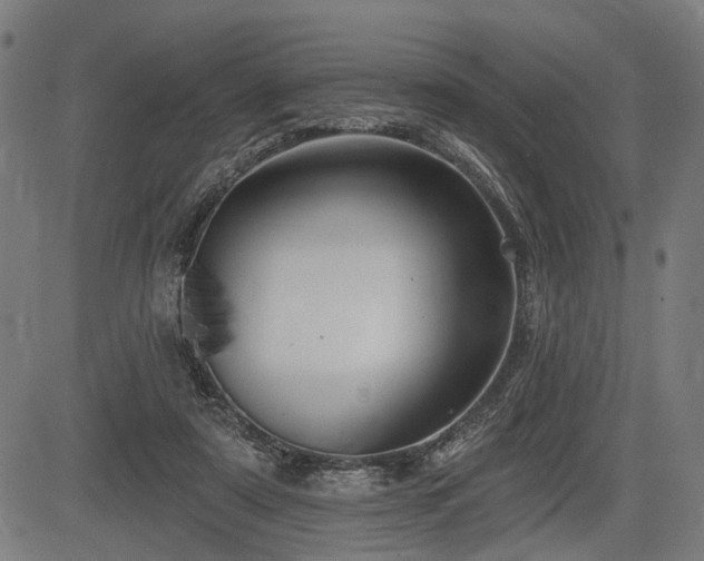 X0000083610307200702121122