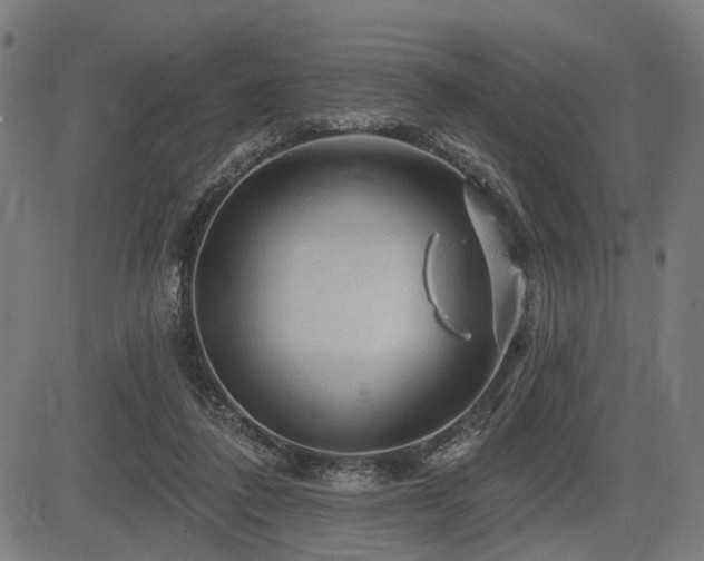 X0000083610308200702121122