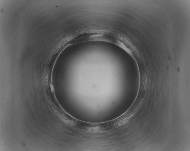 X0000083610309200702121122