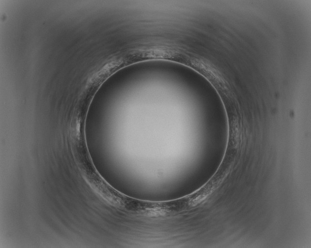 X0000083610310200702121122