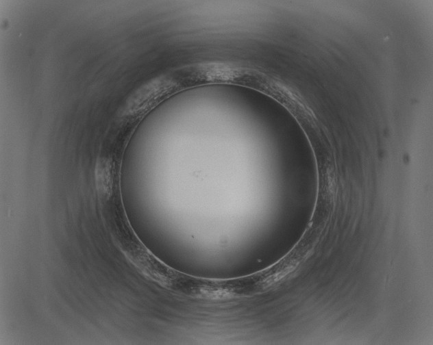 X0000083610311200702121122