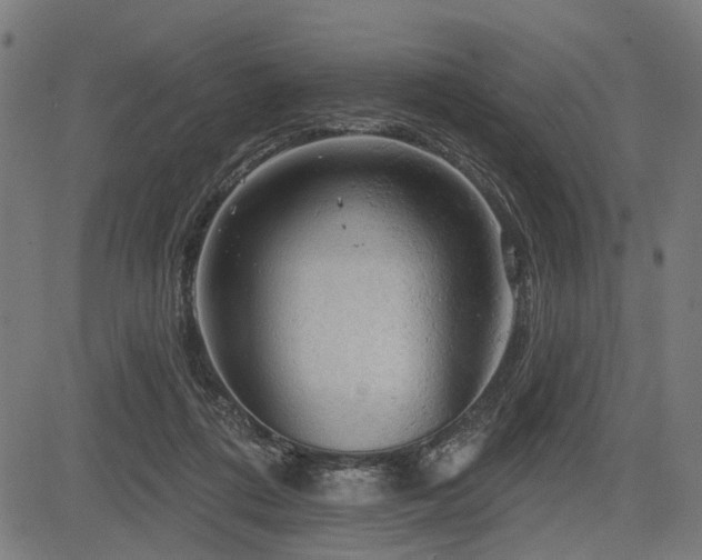 X0000083610312200702121122