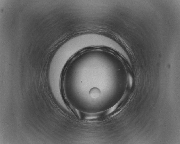 X0000083610313200702121122