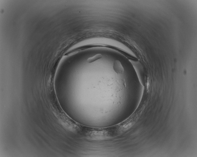 X0000083610314200702121122