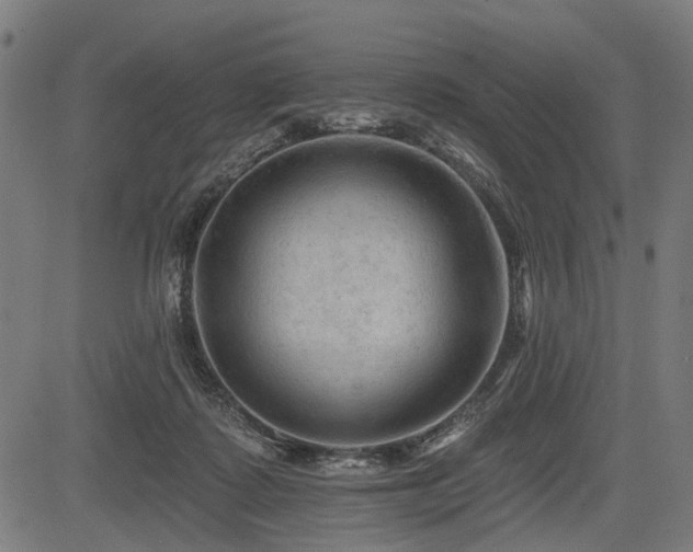 X0000083610315200702121122