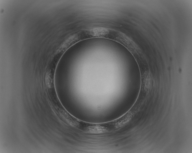 X0000083610316200702121122