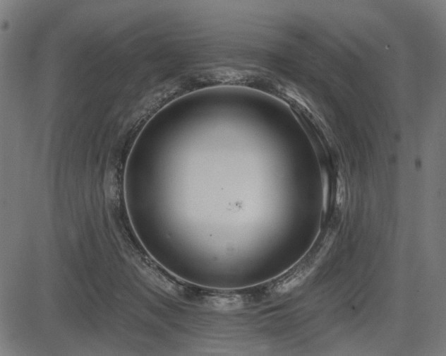 X0000083610317200702121122