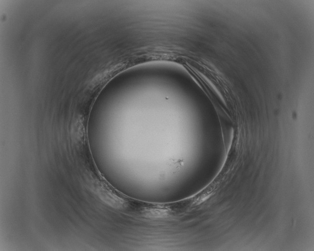 X0000083610318200702121122