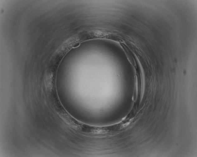 X0000083610319200702121122