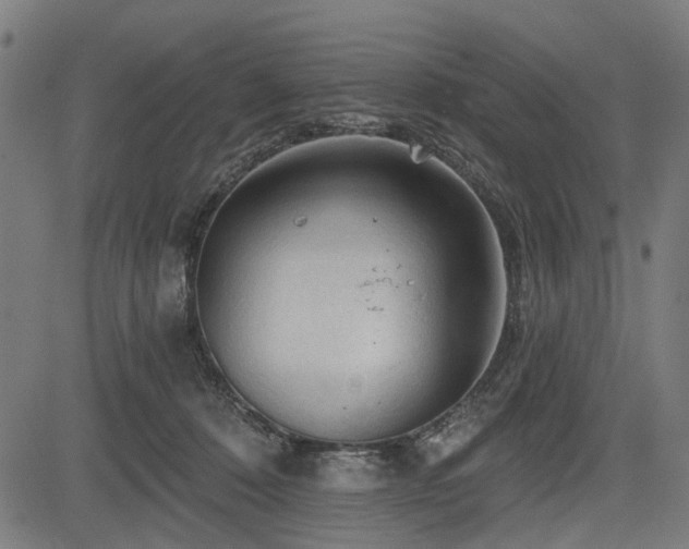 X0000083610320200702121122