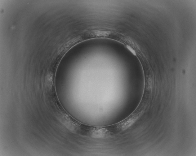 X0000083610321200702121122