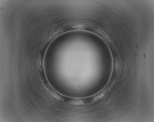 X0000083610322200702121122