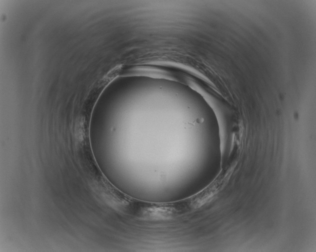 X0000083610323200702121121