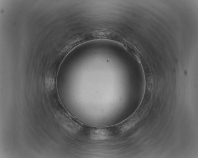 X0000083610324200702121121