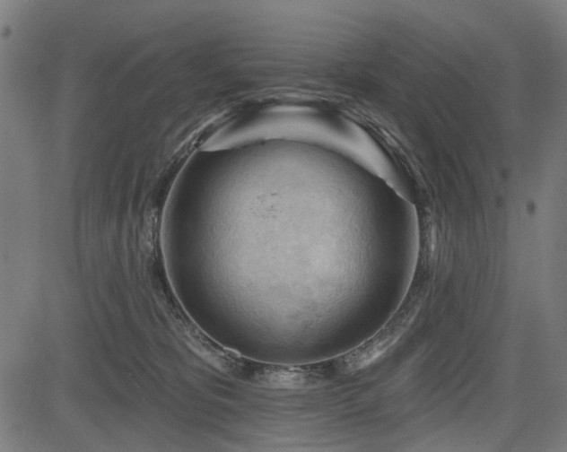 X0000083610325200702121121