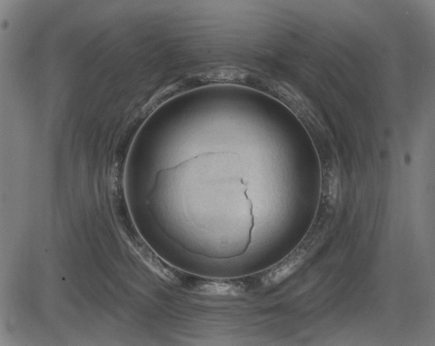 X0000083610326200702121121