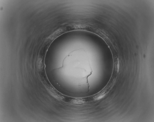 X0000083610327200702121121