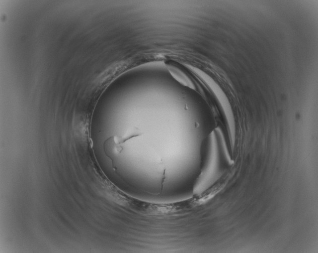 X0000083610329200702121121