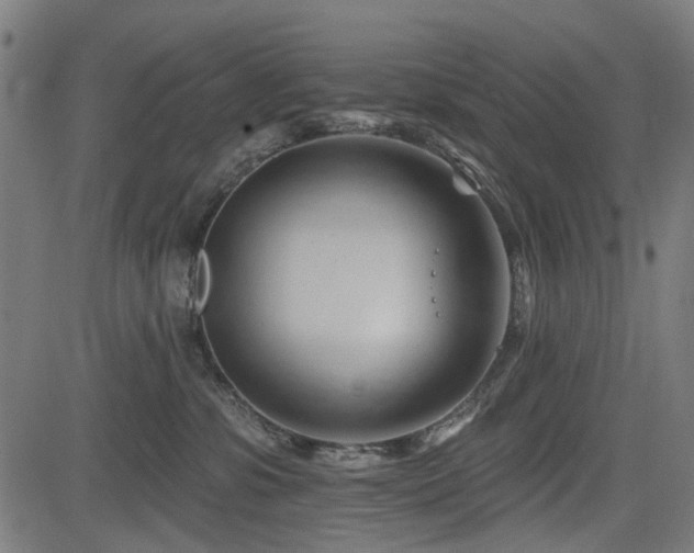 X0000083610331200702121121