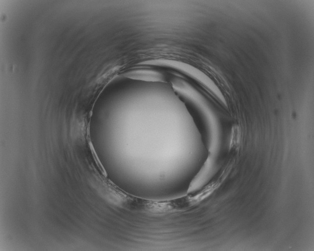 X0000083610333200702121121