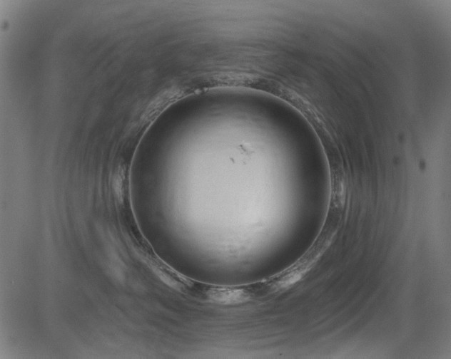 X0000083610334200702121121