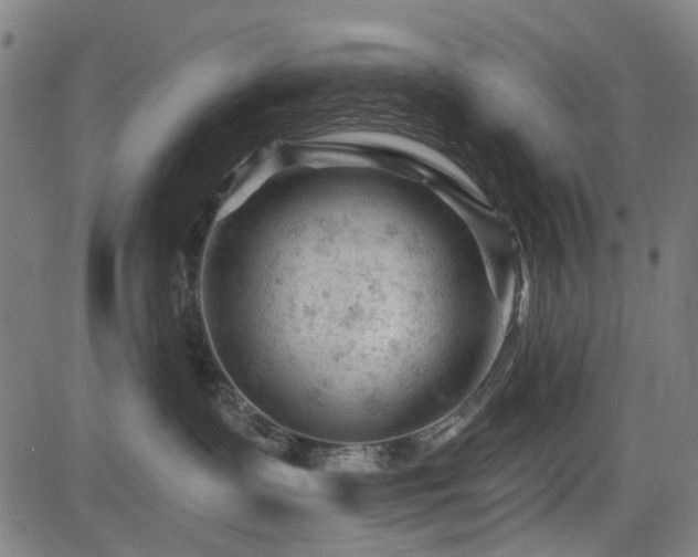 X0000083610335200702121121