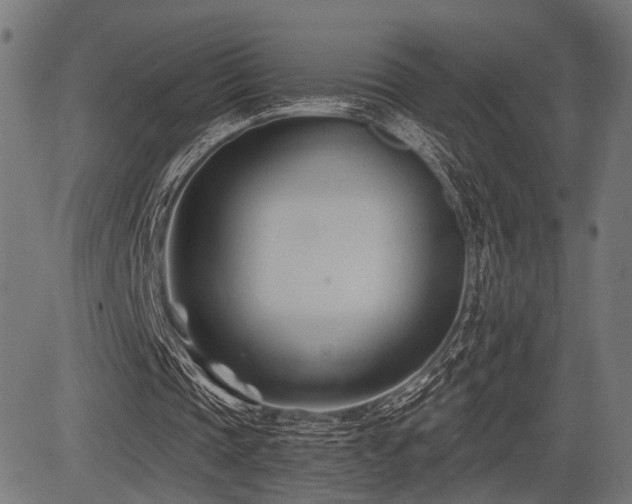 X0000083610337200702121121