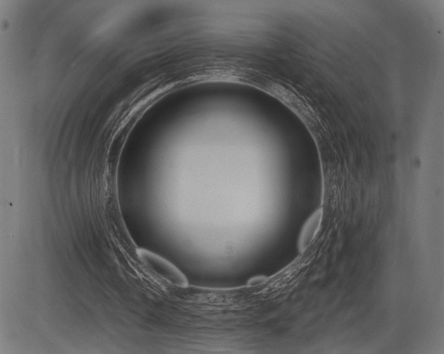 X0000083610338200702121121