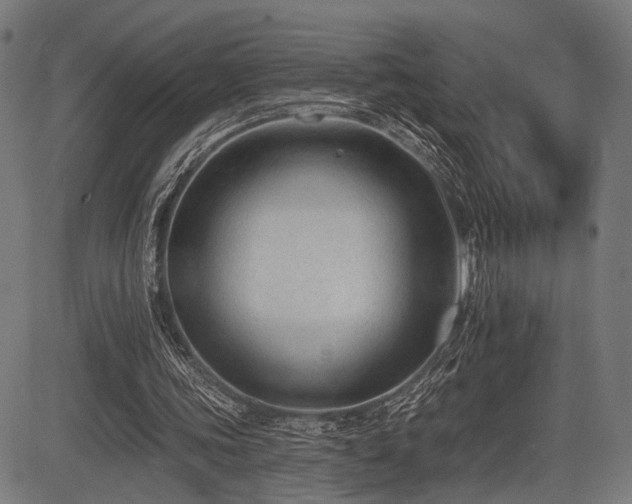 X0000083610339200702121121