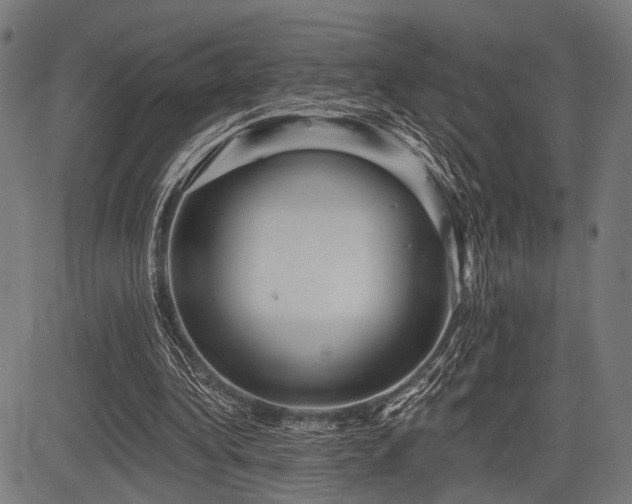 X0000083610340200702121121