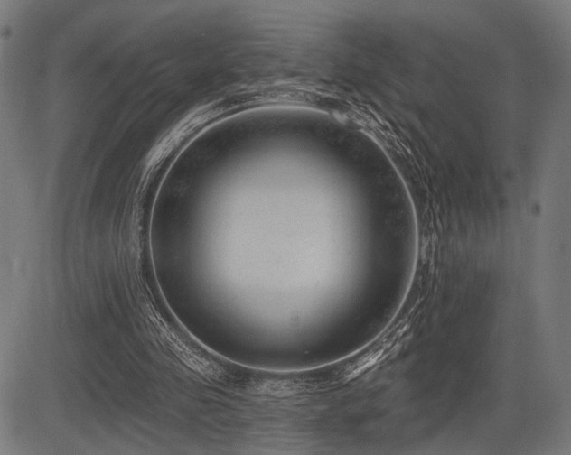 X0000083610341200702121121