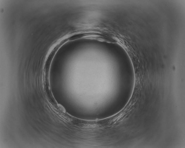 X0000083610342200702121121