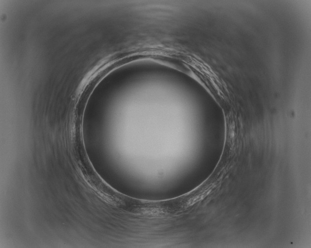 X0000083610344200702121121