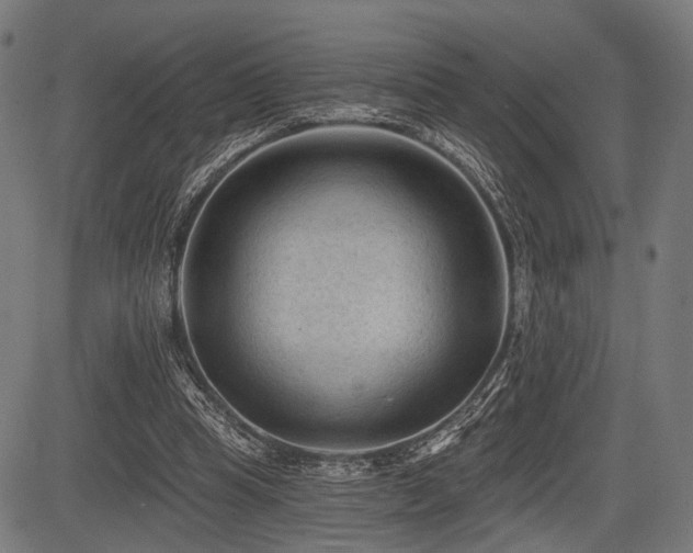 X0000083610345200702121121