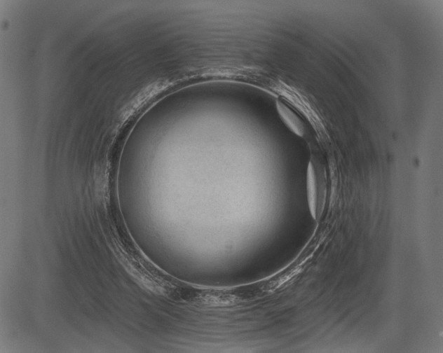 X0000083610346200702121121