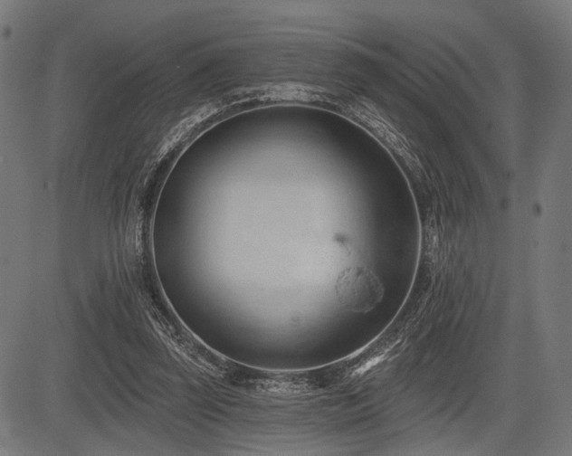 X0000083610347200702121121