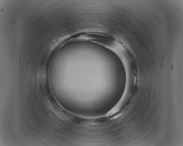 X0000083610348200702121121