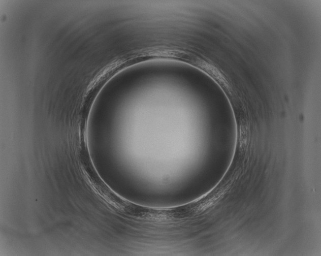 X0000083610349200702121121