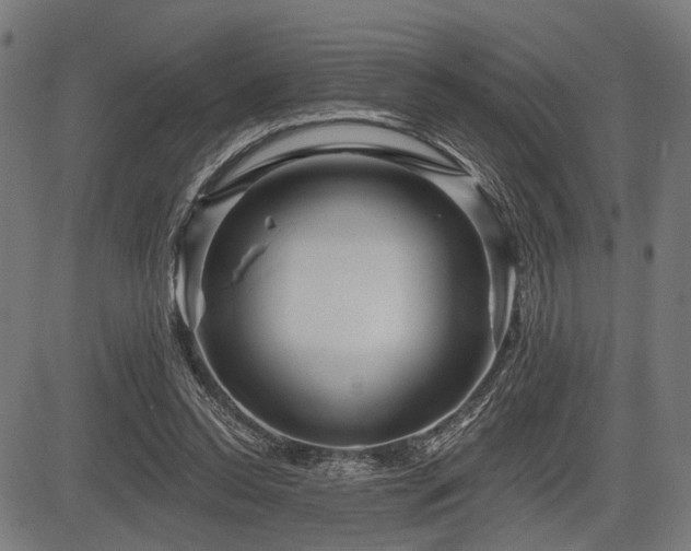 X0000083610350200702121121