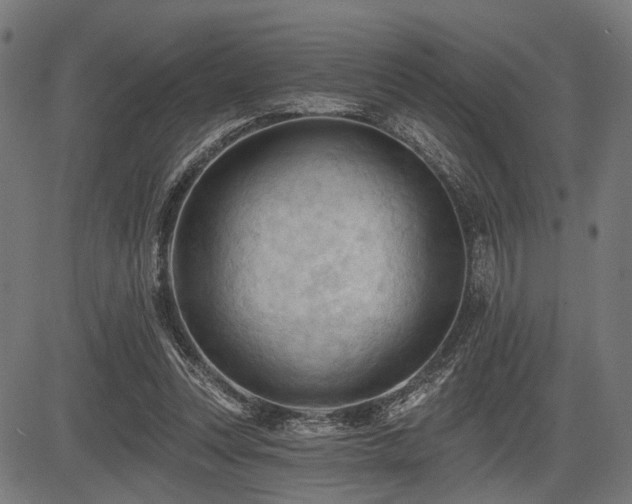 X0000083610351200702121121