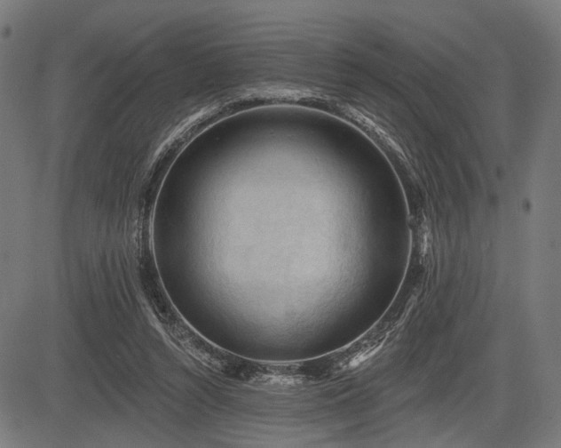 X0000083610352200702121121