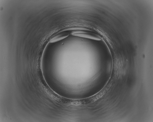 X0000083610353200702121121