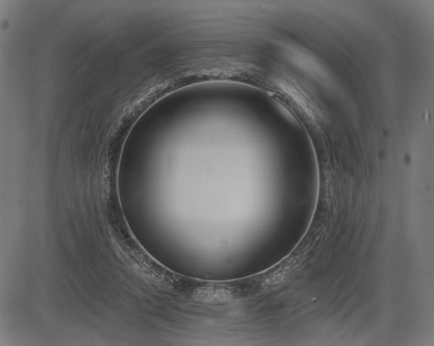 X0000083610354200702121121